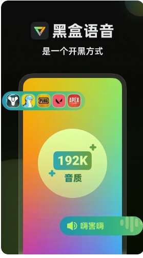 黑盒语音4