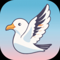 海鸥直播手机版.apk.1