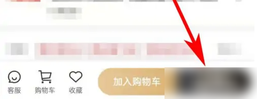 全球购骑士特权11
