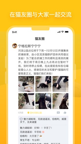 哈啰街猫app v2.4.1