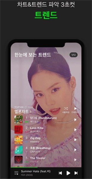 Melon图2