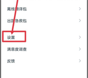 有道翻译app屏幕翻译教程3