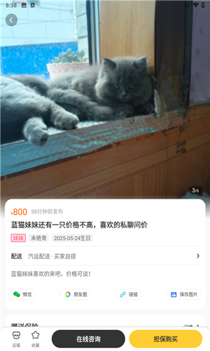 买只宠物