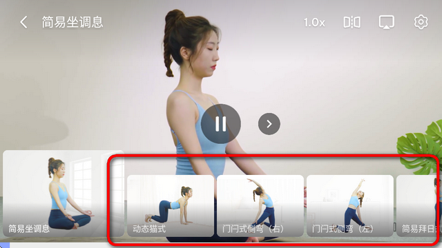 每日瑜伽海外版app