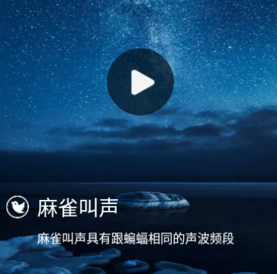 驱蚊神器最新版2025