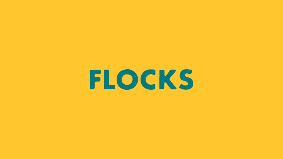 flocks人群官方版下载 v1.1.1