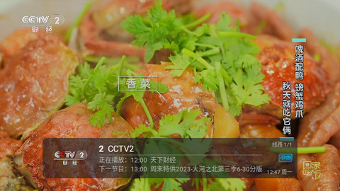 西夏直播TV盒子版