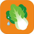 云书菜市集App  V1.8.01下载