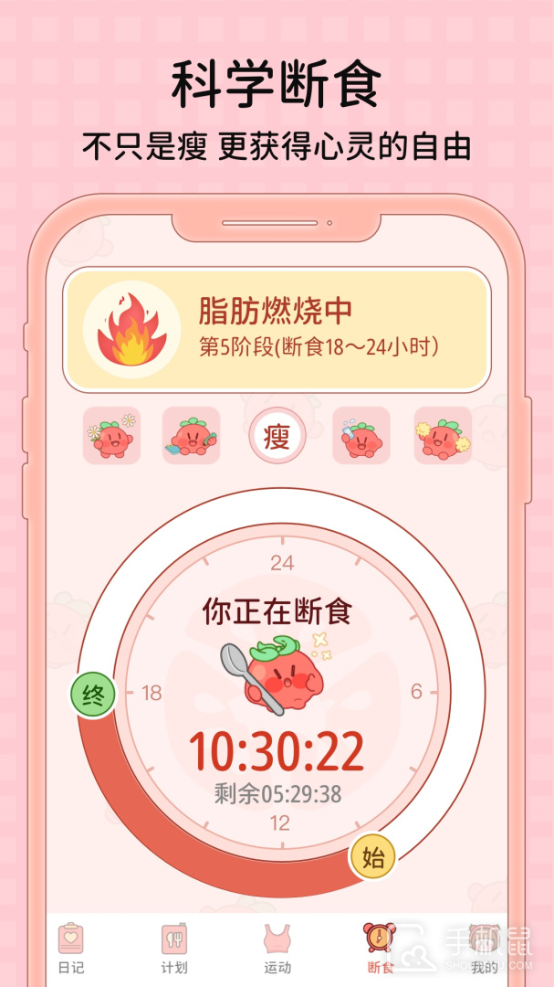 番茄闪轻 v2.1.6