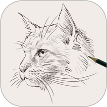 AI线稿生成器1.3 安卓版 