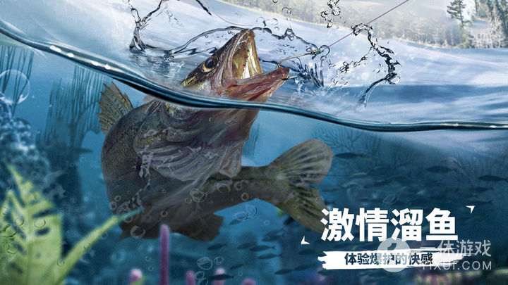 天天钓鱼截图1