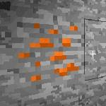 我的世界中文版