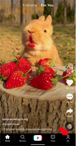 tiktok极速版怎么用