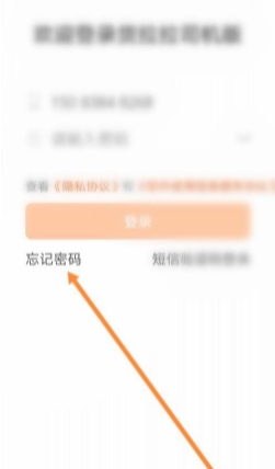 ˾app14