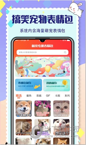 宠物交流器