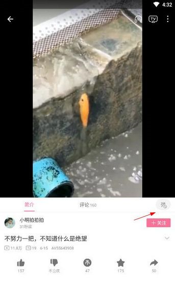 哔哩哔哩图片12