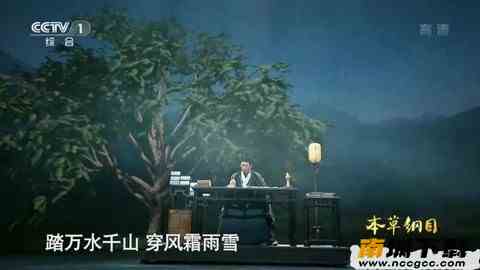 预览图2
