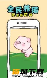 预览图1