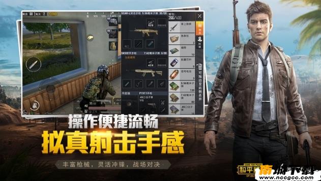 预览图3