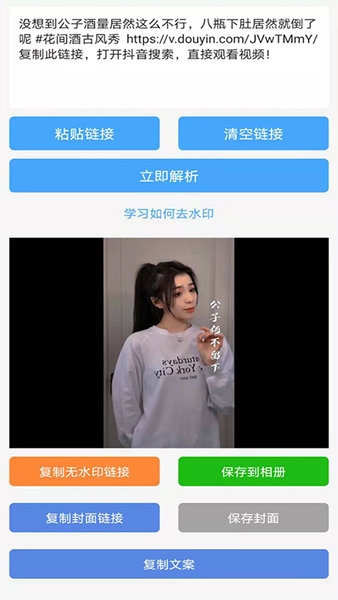 橙子去水印4