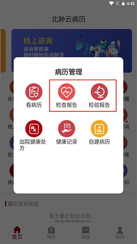 Ʋapp11