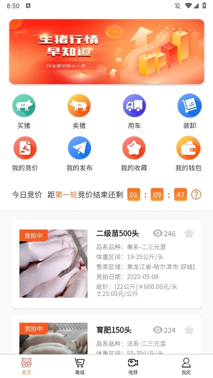 好多猪生猪交易APP截图1