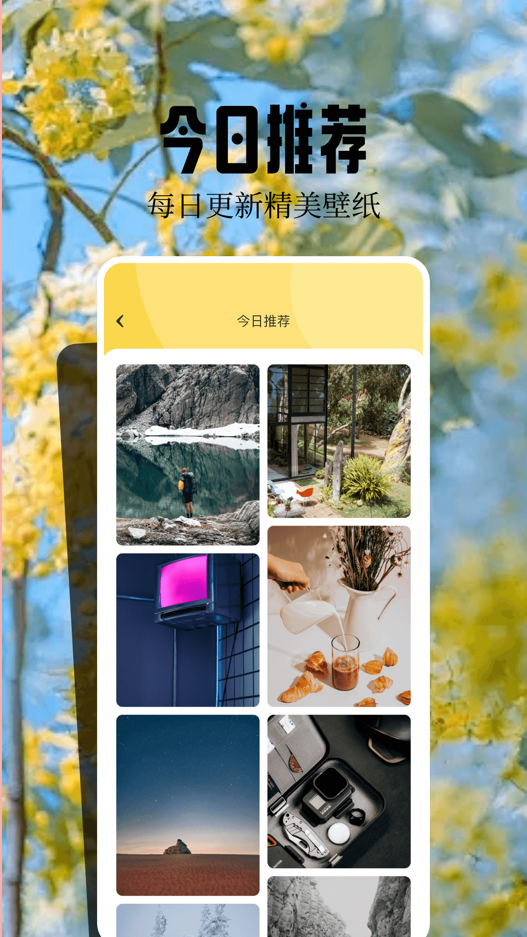 魔秀壁纸 v1.5安卓版下载