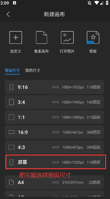 proˢزİѵ밲װv3.1.3 °汾