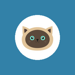 简便电视浏览器(Vita Browser)v1.5.0 安卓纯净版