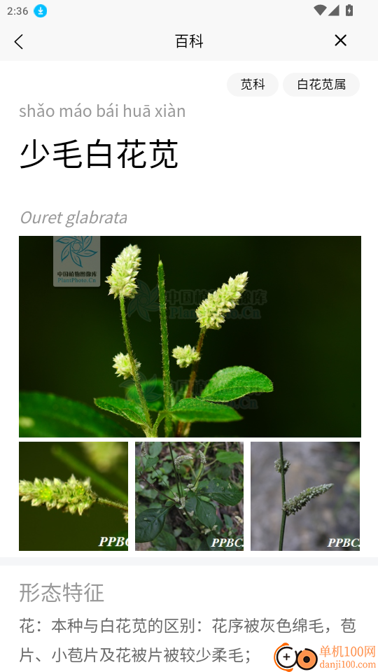 花伴侣专业版官网版