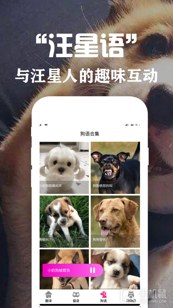 狗语翻译交流器 v3.6