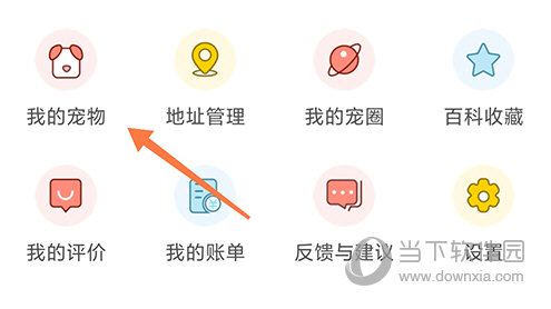 宠物家我的宠物