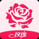玫瑰直播