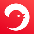 电巢app v4.3.1