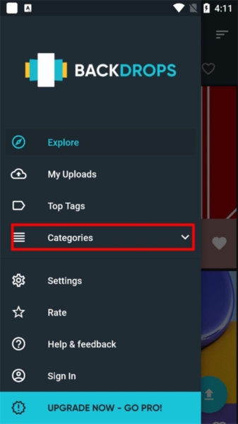 Backdrops图2