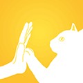 友猫最新版 v2.9.46