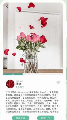 识别全能王