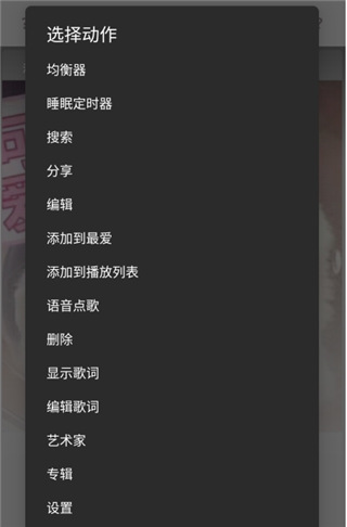 BlackPlayer EX图片4