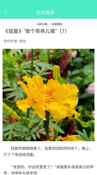 天天日历1