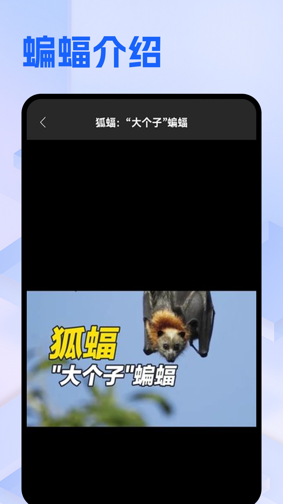 Batchat蝙蝠app v5.1