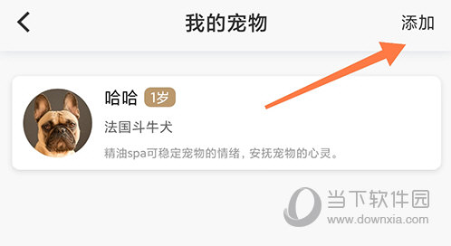 宠物家添加