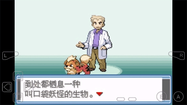 口袋妖怪永恒之焱手机版下载 v1.0