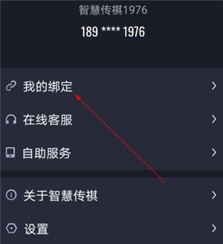 智慧传祺图片9