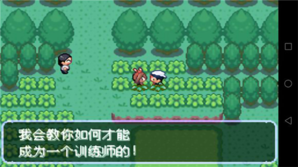 口袋妖怪刽曜之影gba版