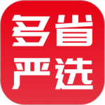 多省严选图标