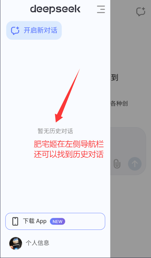 deepseekֱ汾app