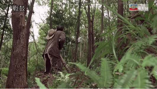 自由空壳app老版本