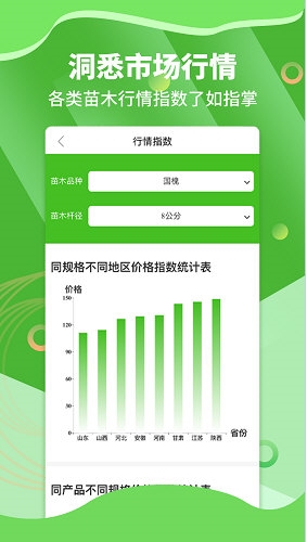 苗木通