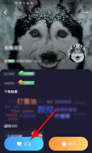 搜索寻找添加好友教程截图5