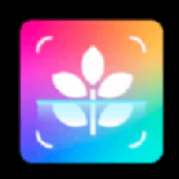 智能识别大师app